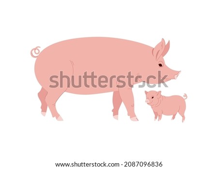 Farm Animal Pig with Funny Piggy. Little Piglet. Vector illustration Set.
 Royalty-Free Stock Photo #2087096836