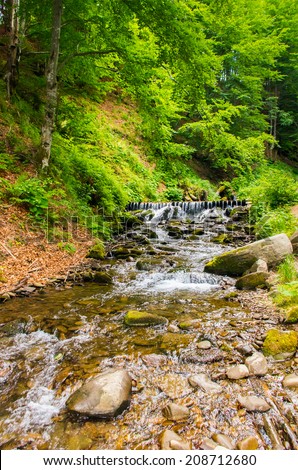 Mountain river with cascades and stones in the spring  forest.