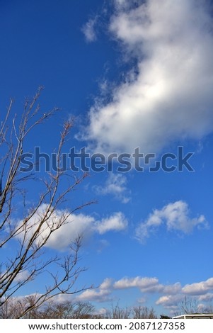 Blue sky and white clouds .
