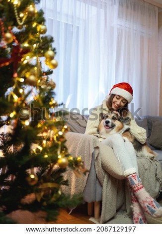 Happy joyful woman in Santa Hat embracing her pet Corgi dog in living room with Christmas tree