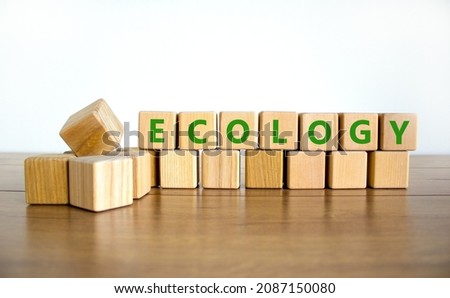 Ecology symbol. The concept word Ecology on wooden cubes. Beautiful wooden table, white background, copy space. Business, ecological and ecology concept.