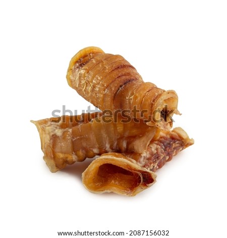 Food for dogs - dried beef offal (trachea) isolated on white background. Natural chewing treats. Royalty-Free Stock Photo #2087156032
