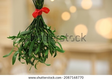 Mistletoe bunch with red bow on blurred background, space for text. Traditional Christmas decor