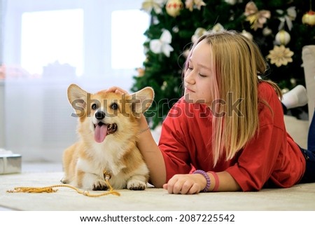 Little dog with owner playing and having fun. young teen girl sitting on the couch with her pet. 