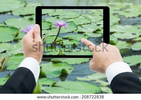 Businessman hands tablet taking pictures Pink lotus flower on the water in garden