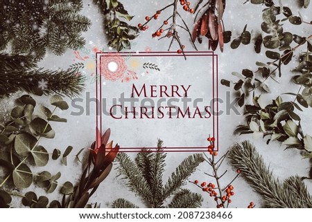 Merry Christmas pic simple text gorgeous look