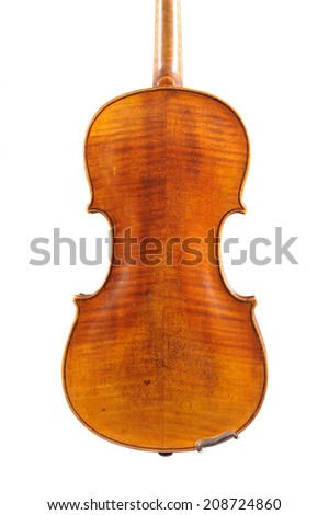 one violin on the white background