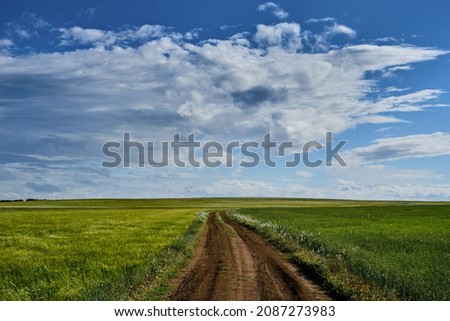 Dirt road in the green countryside