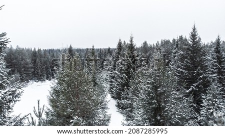 Natural background. Winter nature of Russia in the countryside, in the early cold morning, from the height of a drone flight.