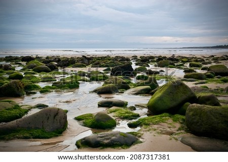 Stones on the ocean beach of Ireland.