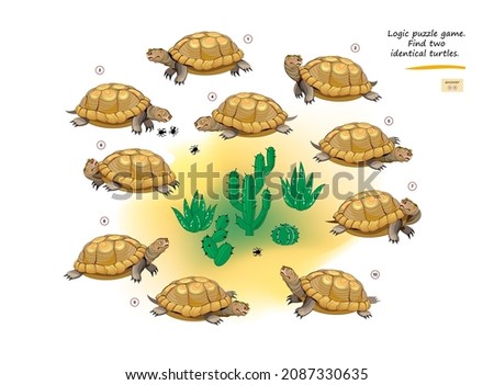 Logic puzzle game for children and adults. Find two identical turtles. Memory exercises for seniors. Page for kids brain teaser book. Developing spatial thinking. IQ test. Play online. Vector image.
