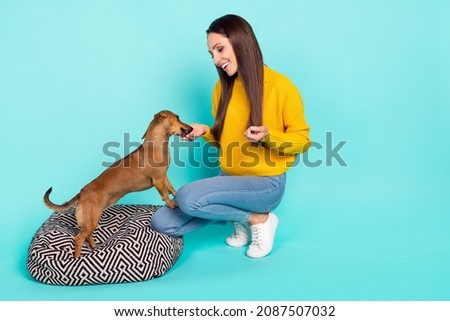 Full length body size view of attractive cheerful kind girl feeding doggy playing isolated over bright teal turquoise color background Royalty-Free Stock Photo #2087507032
