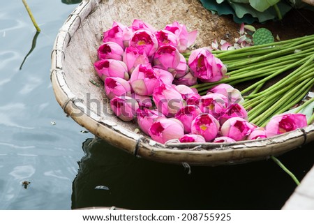 A boat of lotus flower in West Lake, Hanoi, Vietnam. This flowers are scented with tea to make a kind of tea called lotus-tea 