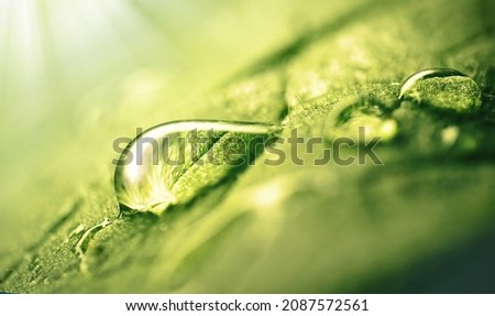 Very beautiful macro image of natural illuminated water droplets on surface of green leaf or stem of grass, symbol of fragility and purity nature. Royalty-Free Stock Photo #2087572561