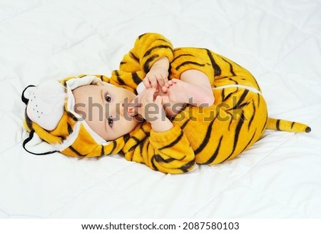 cute funny baby in a tiger costume lies on a white background and bites his leg. The Year of the Tiger. Royalty-Free Stock Photo #2087580103