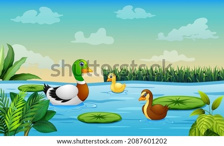 Illustration of a mother duck with her ducklings in the river