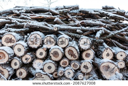 Recently chopped firewood piled up and covered in snow in Finland. It's freezing cold, -4°F (-20°C)