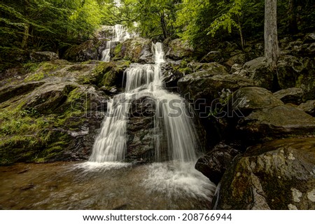 Waterfall trailing through deep woods