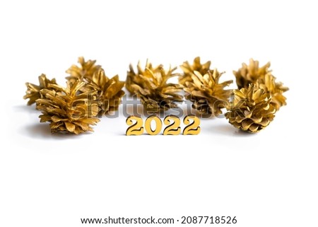 New year 2022. Numbers 2022 with golden cones on white background. Christmas greeting card. New Year beginning congratulations and planning concept.