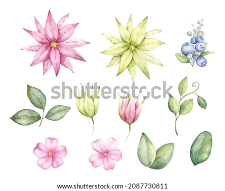 .Flowers and leaves isolated on white background. Watercolor painting for wedding invitations,greeting card and design.
