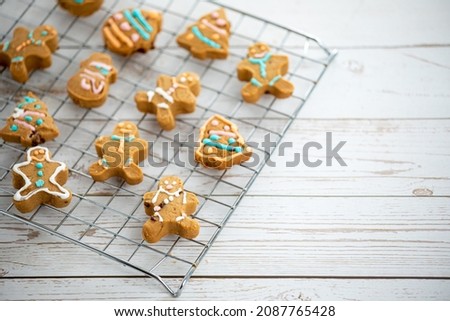 Close up baked gingerbread cookies on stainless rack over white wooden board background