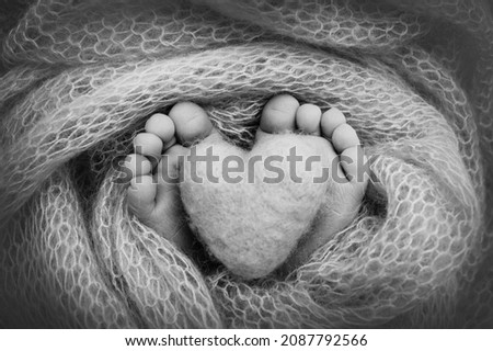 The tiny foot of a newborn baby. Soft feet of a new born in a wool blanket. Close up of toes, heels and feet of a newborn. Knitted heart in the legs of baby. Studio macro photography. Black and white.