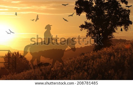 A silhouette of a cowboy riding in the sunset on a hill with grass in yellow and orange.