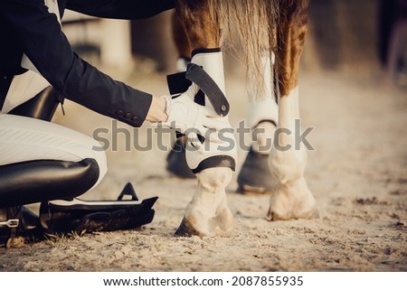 Removes of the legs a red horse sports equipment - Knee-caps and bandages. Feet sports horse and rider after the competition. Royalty-Free Stock Photo #2087855935