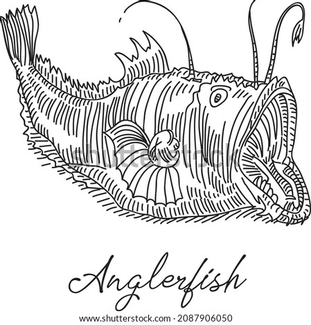 Anglerfish. Sketchy hand-drawn vector illustration.