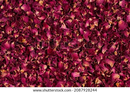 Dried rose petals as background. Purple rose flowers, close-up. Royalty-Free Stock Photo #2087928244