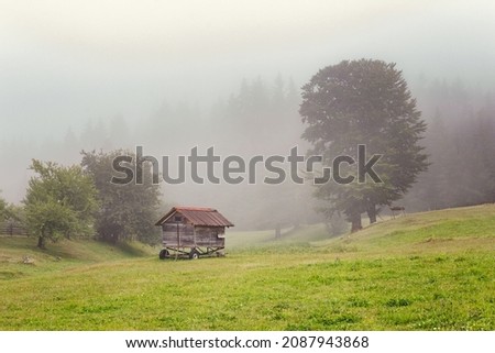 Little house in the fog, village, scenery
