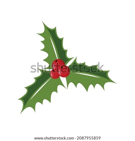 Holly berry illustration isolated on white background. Symbol of Christmas.
