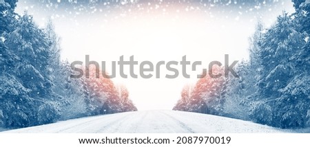 Road in the winter forest. Frozen winter forest with snow covered trees. outdoor