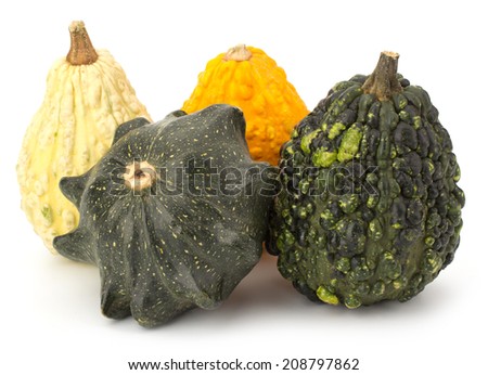Decorative pumpkins collection isolated on white background