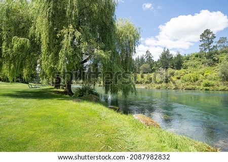 Weeping willow tree hangs over edge of  Waikato River with view to native bush clad riverbank and hill on other side.