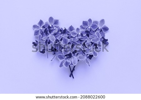 Violet flowers in heart shape on Very peri color background. Royalty-Free Stock Photo #2088022600