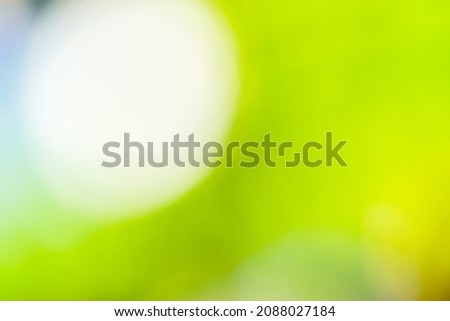 Green bokeh out of focus background from nature forest