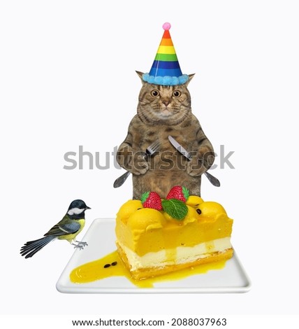 A beige cat with a knife and a fork eats a cheese cake. White background. Isolated.