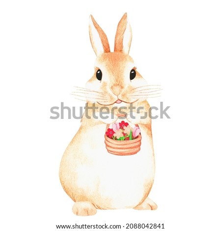 Rabbit with a basket of flowers. Watercolor illustration. Isolated on a white background. For design
