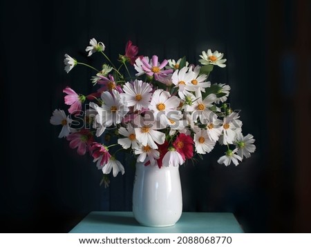 Still life with daisies, cosmei on a multicolored background.