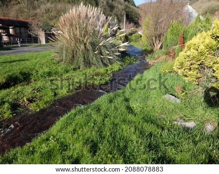 A small stream flowing through the pretty hamlet of Brook near Pendine, Carmarthenshire, Wales, UK.