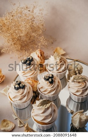 Beautifully decorated holiday cupcakes, butter cream and delicious blueberries