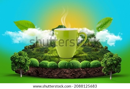 Tea manipulation advertising. Concept design template. Green tea natural theme. Royalty-Free Stock Photo #2088125683