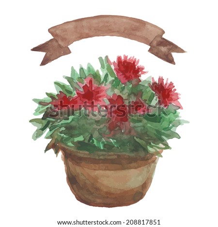 Red Flower in a flowerpot, beige ribbon set on white background. Watercolor. Sketch. vector
