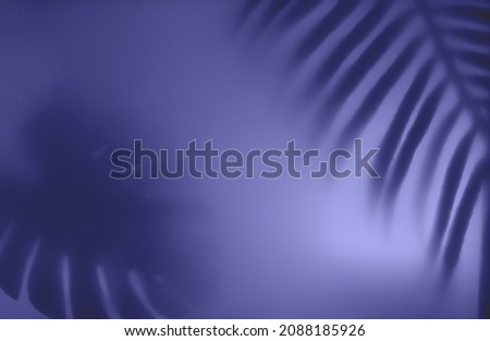 shadow palm leaves on very peri color of the year 2022 