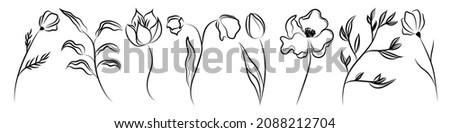 A set of vector illustrations of branches, leaves, flower patterns, bouquets and compositions on a white background. Elements for greeting cards. Decorative elements for your design.
