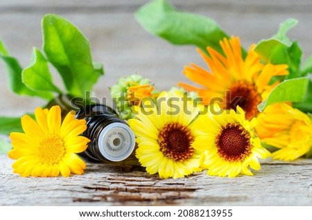 Small bottle with marigold tincture. Calendula flowers close up. Aromatherapy, spa and herbal medicine ingredients. Old wooden background.