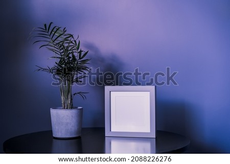 Modern minimalist interior design in very purple trendy color of 2022 year. Empty light grey frame, small Areca Palm home plant in a concrete pot on black table. Mockup. Copy space, selective focus.