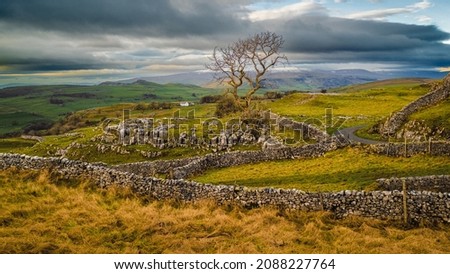Single tree at Winskill Stones above Langcliffe near Settle in the Yorkshire Dales Royalty-Free Stock Photo #2088227764