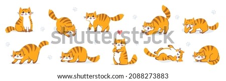Vector set of illustration of many animal tiger cat in different pose. Flat line art style design of happy cute striped red cat character on white color background. Symbol of New Year 2022 for card